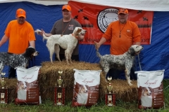 2017Ohio Trial open winners