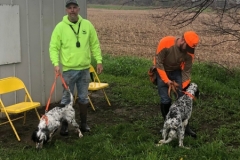 Day-two-of-the-NLGDC-Ohio-Spring-Trial-is-underway.-Tony-Perroud-with-Lynds-and-Tim-Powell-with-Bella.