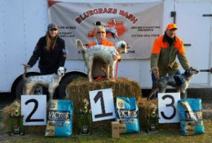 Sunday Puppy Winners: 1st Russ Leaming with Dallas, 2nd Rafe Millard with Remi and 3rd Grant Hines with Pepper