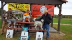 10-28-2017 Puppy 1st, Bella, Timothy Powell, 2nd, Gage, R. Dixon, 3rd Gus, Scott Strohmeyer — with Timothy Powell.
