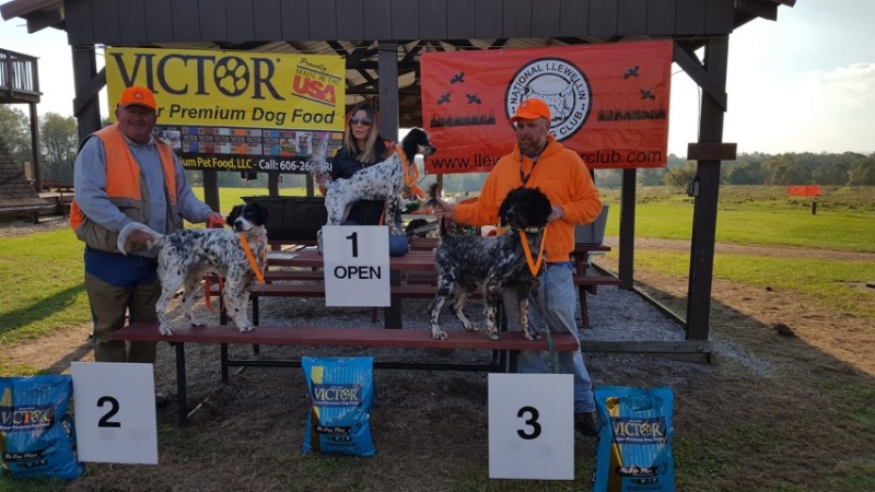Hoosier Trial Open Winners. Crystal Powell with Bella, Tim Powell with Lightning, Chris Miller with Lily