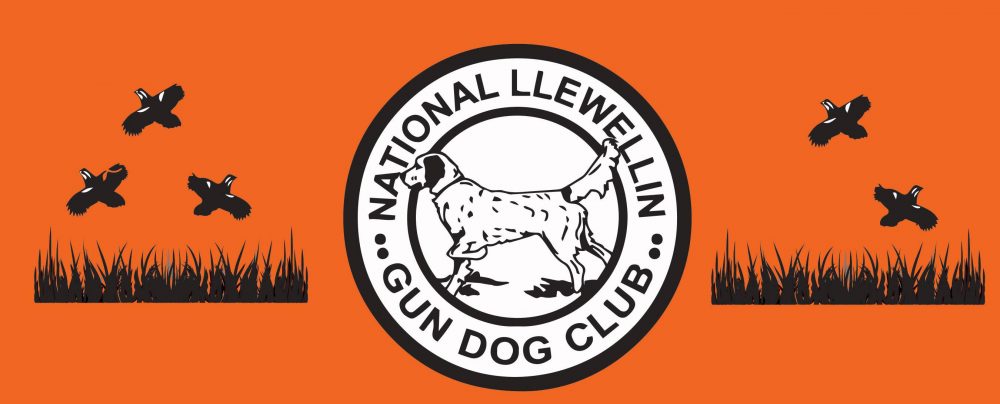National Llewellin Gun Dog Club